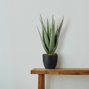glo-20066-20066 GLOBOSTAR® ARTIFICIAL GARDEN ALOE 20066 ΤΕΧΝΗΤΟ ΔΙΑΚΟΣΜΗΤΙΚΟ ΦΥΤΟ ΑΛΟΗ Υ65CM