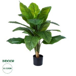 glo-20068-20068_0 GLOBOSTAR® ARTIFICIAL GARDEN ROHDEA JAPONICA 20068 ΤΕΧΝΗΤΟ ΔΙΑΚΟΣΜΗΤΙΚΟ ΦΥΤΟ ΙΑΠΩΝΕΖΙΚΗ ΡΟ