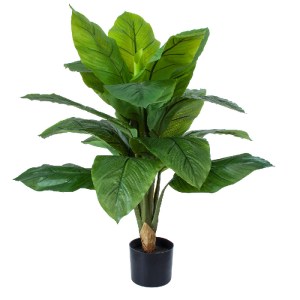glo-20068-20068_2 GLOBOSTAR® ARTIFICIAL GARDEN ROHDEA JAPONICA 20068 ΤΕΧΝΗΤΟ ΔΙΑΚΟΣΜΗΤΙΚΟ ΦΥΤΟ ΙΑΠΩΝΕΖΙΚΗ ΡΟ