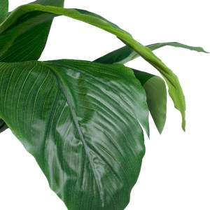 glo-20068-20068_3 GLOBOSTAR® ARTIFICIAL GARDEN ROHDEA JAPONICA 20068 ΤΕΧΝΗΤΟ ΔΙΑΚΟΣΜΗΤΙΚΟ ΦΥΤΟ ΙΑΠΩΝΕΖΙΚΗ ΡΟ