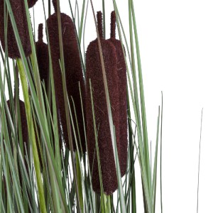 glo-20069-20069_3 GLOBOSTAR® ARTIFICIAL GARDEN TYPHA ANGUSTIFOLIA GRASS 20069 ΤΕΧΝΗΤΟ ΔΙΑΚΟΣΜΗΤΙΚΟ ΦΥΤΟ ΓΡΑΣ