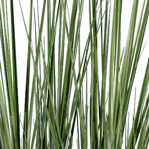 glo-20071-20071_3 GLOBOSTAR® ARTIFICIAL GARDEN PAMPAS GRASS 20071 ΤΕΧΝΗΤΟ ΔΙΑΚΟΣΜΗΤΙΚΟ ΦΥΤΟ ΓΡΑΣΙΔΙ ΤΗΣ ΠΑΜΠ