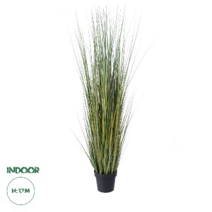 glo-20072-20072_0 GLOBOSTAR® ARTIFICIAL GARDEN PAMPAS GRASS 20072 ΤΕΧΝΗΤΟ ΔΙΑΚΟΣΜΗΤΙΚΟ ΦΥΤΟ ΓΡΑΣΙΔΙ ΤΗΣ ΠΑΜΠ