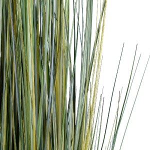 glo-20072-20072_3 GLOBOSTAR® ARTIFICIAL GARDEN PAMPAS GRASS 20072 ΤΕΧΝΗΤΟ ΔΙΑΚΟΣΜΗΤΙΚΟ ΦΥΤΟ ΓΡΑΣΙΔΙ ΤΗΣ ΠΑΜΠ