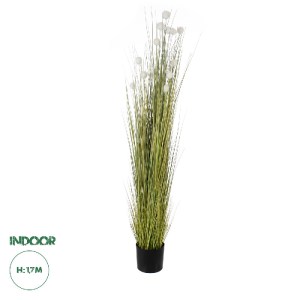 glo-20074-20074_0 GLOBOSTAR® ARTIFICIAL GARDEN ERIOPHORUM ANGUSTIFOLIUM COTTON GRASS 20074 ΤΕΧΝΗΤΟ ΔΙΑΚΟΣΜΗΤ
