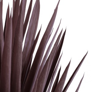 glo-20075-20075_3 GLOBOSTAR® ARTIFICIAL GARDEN SISAL AGAVE 20075 ΤΕΧΝΗΤΟ ΔΙΑΚΟΣΜΗΤΙΚΟ ΦΥΤΟ ΑΓΑΥΗ Υ70CM
