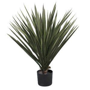 glo-20076-20076_2 GLOBOSTAR® ARTIFICIAL GARDEN SISAL AGAVE 20076 ΤΕΧΝΗΤΟ ΔΙΑΚΟΣΜΗΤΙΚΟ ΦΥΤΟ ΑΓΑΥΗ Υ70CM