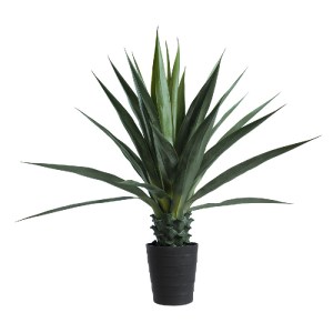 glo-20078-20078_2 GLOBOSTAR® ARTIFICIAL GARDEN SISAL AGAVE 20078 ΤΕΧΝΗΤΟ ΔΙΑΚΟΣΜΗΤΙΚΟ ΦΥΤΟ ΑΓΑΥΗ Υ110CM