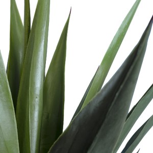 glo-20078-20078_3 GLOBOSTAR® ARTIFICIAL GARDEN SISAL AGAVE 20078 ΤΕΧΝΗΤΟ ΔΙΑΚΟΣΜΗΤΙΚΟ ΦΥΤΟ ΑΓΑΥΗ Υ110CM