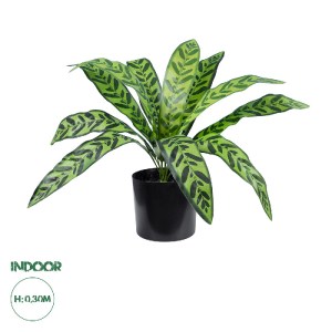 glo-20082-20082_0 GLOBOSTAR® ARTIFICIAL GARDEN TARO 20082 ΤΕΧΝΗΤΟ ΔΙΑΚΟΣΜΗΤΙΚΟ ΦΥΤΟ ΚΟΛΟΚΑΣΙΑ Υ30CM