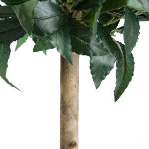 glo-20084-20084_4 GLOBOSTAR® ARTIFICIAL GARDEN LAUREL 20084 ΤΕΧΝΗΤΟ ΔΙΑΚΟΣΜΗΤΙΚΟ ΦΥΤΟ ΔΑΦΝΗ Υ120CM