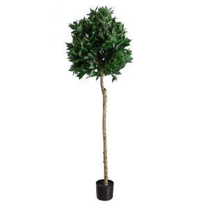 glo-20085-20085_2 GLOBOSTAR® ARTIFICIAL GARDEN LAUREL 20085 ΤΕΧΝΗΤΟ ΔΙΑΚΟΣΜΗΤΙΚΟ ΦΥΤΟ ΔΑΦΝΗ Υ150CM