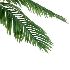 glo-20088-20088_3 GLOBOSTAR® ARTIFICIAL GARDEN COCONUT PALM TREE 20088 ΤΕΧΝΗΤΟ ΔΙΑΚΟΣΜΗΤΙΚΟ ΦΥΤΟ ΦΟΙΝΙΚΟΔΕΝΤ