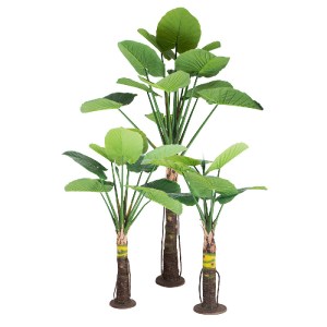 glo-20089-20089_2 GLOBOSTAR® ARTIFICIAL GARDEN TARO SET 20089 ΤΕΧΝΗΤΟ ΔΙΑΚΟΣΜΗΤΙΚΟ ΣΕΤ ΦΥΤΩΝ ΚΟΛΟΚΑΣΙΑ A:Υ30