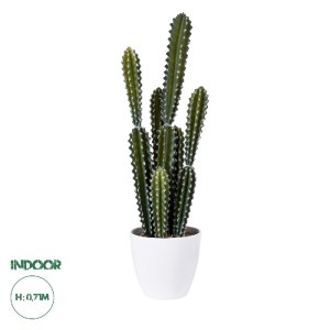 glo-20095-20095_0 GLOBOSTAR® ARTIFICIAL GARDEN CEREUS JAMACARU CACTUS 20095 ΤΕΧΝΗΤΟ ΔΙΑΚΟΣΜΗΤΙΚΟ ΦΥΤΟ ΚΑΚΤΟΣ