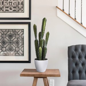glo-20095-20095 GLOBOSTAR® ARTIFICIAL GARDEN CEREUS JAMACARU CACTUS 20095 ΤΕΧΝΗΤΟ ΔΙΑΚΟΣΜΗΤΙΚΟ ΦΥΤΟ ΚΑΚΤΟΣ