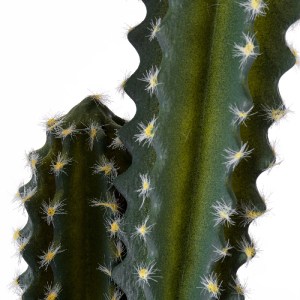 glo-20095-20095_3 GLOBOSTAR® ARTIFICIAL GARDEN CEREUS JAMACARU CACTUS 20095 ΤΕΧΝΗΤΟ ΔΙΑΚΟΣΜΗΤΙΚΟ ΦΥΤΟ ΚΑΚΤΟΣ
