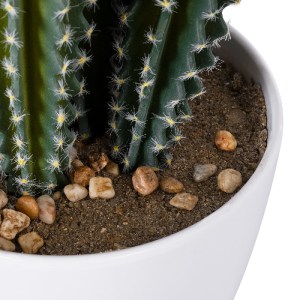 glo-20095-20095_5 GLOBOSTAR® ARTIFICIAL GARDEN CEREUS JAMACARU CACTUS 20095 ΤΕΧΝΗΤΟ ΔΙΑΚΟΣΜΗΤΙΚΟ ΦΥΤΟ ΚΑΚΤΟΣ