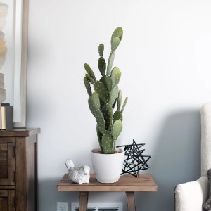 glo-20097-20097 GLOBOSTAR® ARTIFICIAL GARDEN OPUNTIA FICUS-INDICA CACTUS 20097 ΤΕΧΝΗΤΟ ΔΙΑΚΟΣΜΗΤΙΚΟ ΦΥΤΟ Κ