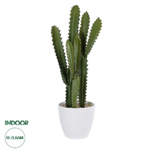 glo-20099-20099_0 GLOBOSTAR® ARTIFICIAL GARDEN CEREUS JAMACARU CACTUS 20099 ΤΕΧΝΗΤΟ ΔΙΑΚΟΣΜΗΤΙΚΟ ΦΥΤΟ ΚΑΚΤΟΣ