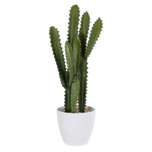 glo-20099-20099_2 GLOBOSTAR® ARTIFICIAL GARDEN CEREUS JAMACARU CACTUS 20099 ΤΕΧΝΗΤΟ ΔΙΑΚΟΣΜΗΤΙΚΟ ΦΥΤΟ ΚΑΚΤΟΣ