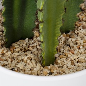 glo-20099-20099_5 GLOBOSTAR® ARTIFICIAL GARDEN CEREUS JAMACARU CACTUS 20099 ΤΕΧΝΗΤΟ ΔΙΑΚΟΣΜΗΤΙΚΟ ΦΥΤΟ ΚΑΚΤΟΣ