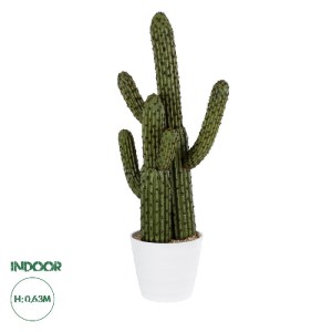 glo-20100-20100_0 GLOBOSTAR® ARTIFICIAL GARDEN CARNEGIEA CACTUS 20100 ΤΕΧΝΗΤΟ ΔΙΑΚΟΣΜΗΤΙΚΟ ΦΥΤΟ ΚΑΚΤΟΣ ΣΑΓΚΟ