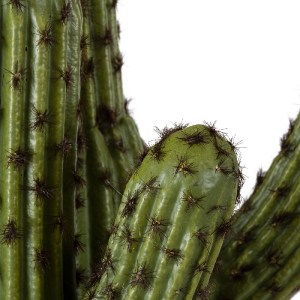glo-20100-20100_3 GLOBOSTAR® ARTIFICIAL GARDEN CARNEGIEA CACTUS 20100 ΤΕΧΝΗΤΟ ΔΙΑΚΟΣΜΗΤΙΚΟ ΦΥΤΟ ΚΑΚΤΟΣ ΣΑΓΚΟ