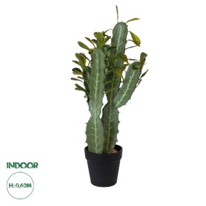 glo-20102-20102_00 GLOBOSTAR® ARTIFICIAL GARDEN CEREUS JAMACARU CACTUS 20102 ΤΕΧΝΗΤΟ ΔΙΑΚΟΣΜΗΤΙΚΟ ΦΥΤΟ ΚΑΚΤΟΣ