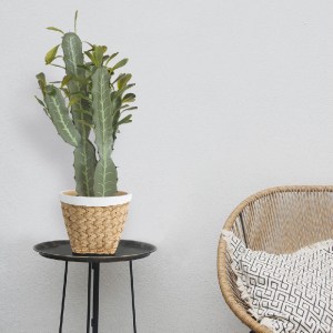 glo-20102-20102_20803 GLOBOSTAR® ARTIFICIAL GARDEN CEREUS JAMACARU CACTUS 20102 ΤΕΧΝΗΤΟ ΔΙΑΚΟΣΜΗΤΙΚΟ ΦΥΤΟ ΚΑΚΤΟΣ