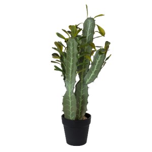 glo-20102-20102_2 GLOBOSTAR® ARTIFICIAL GARDEN CEREUS JAMACARU CACTUS 20102 ΤΕΧΝΗΤΟ ΔΙΑΚΟΣΜΗΤΙΚΟ ΦΥΤΟ ΚΑΚΤΟΣ