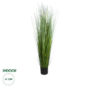glo-20104-20104_0 GLOBOSTAR® ARTIFICIAL GARDEN SACCHARUM 20104 ΤΕΧΝΗΤΟ ΔΙΑΚΟΣΜΗΤΙΚΟ ΦΥΤΟ ΖΑΧΑΡΟΚΑΛΑΜΟ Υ150CM