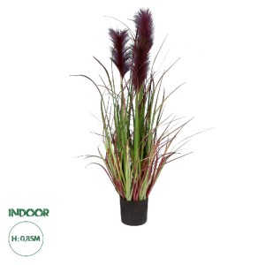 glo-20109-20109_0 GLOBOSTAR® ARTIFICIAL GARDEN BLOODY PAMPAS GRASS 20109 ΤΕΧΝΗΤΟ ΔΙΑΚΟΣΜΗΤΙΚΟ ΦΥΤΟ ΑΙΜΑΤΟΦΥΛ