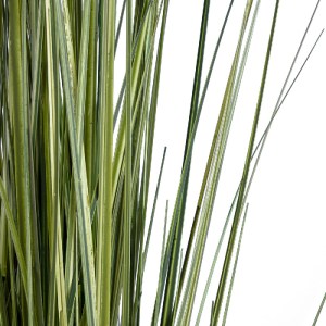 glo-20111-20111_4 GLOBOSTAR® ARTIFICIAL GARDEN LAGURUS GRASS 20111 ΤΕΧΝΗΤΟ ΔΙΑΚΟΣΜΗΤΙΚΟ ΦΥΤΟ ΛΑΓΟΟΥΡΑ Υ150CM