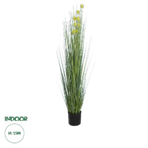 glo-20112-20112_0 GLOBOSTAR® ARTIFICIAL GARDEN CRASPEDIA GRASS 20112 ΤΕΧΝΗΤΟ ΔΙΑΚΟΣΜΗΤΙΚΟ ΦΥΤΟ ΚΡΑΣΠΕΔΙΑ Υ15