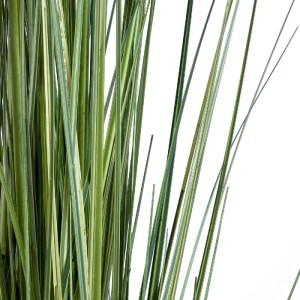 glo-20112-20112_4 GLOBOSTAR® ARTIFICIAL GARDEN CRASPEDIA GRASS 20112 ΤΕΧΝΗΤΟ ΔΙΑΚΟΣΜΗΤΙΚΟ ΦΥΤΟ ΚΡΑΣΠΕΔΙΑ Υ15
