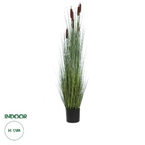 glo-20113-20113_0 GLOBOSTAR® ARTIFICIAL GARDEN TYPHA ANGUSTIFOLIA GRASS 20113 ΤΕΧΝΗΤΟ ΔΙΑΚΟΣΜΗΤΙΚΟ ΦΥΤΟ ΓΡΑΣ