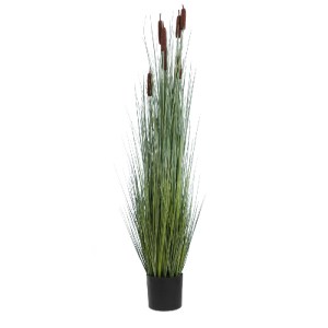 glo-20113-20113_2 GLOBOSTAR® ARTIFICIAL GARDEN TYPHA ANGUSTIFOLIA GRASS 20113 ΤΕΧΝΗΤΟ ΔΙΑΚΟΣΜΗΤΙΚΟ ΦΥΤΟ ΓΡΑΣ