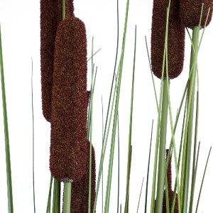 glo-20113-20113_3 GLOBOSTAR® ARTIFICIAL GARDEN TYPHA ANGUSTIFOLIA GRASS 20113 ΤΕΧΝΗΤΟ ΔΙΑΚΟΣΜΗΤΙΚΟ ΦΥΤΟ ΓΡΑΣ