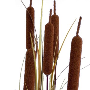 glo-20114-20114_3 GLOBOSTAR® ARTIFICIAL GARDEN TYPHA ANGUSTIFOLIA GRASS 20114 ΤΕΧΝΗΤΟ ΔΙΑΚΟΣΜΗΤΙΚΟ ΦΥΤΟ ΓΡΑΣ