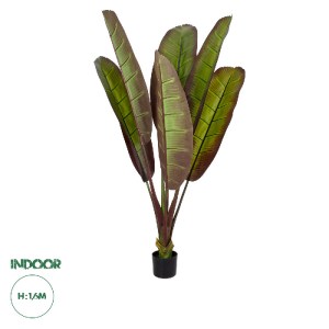glo-20117-20117_0 GLOBOSTAR® ARTIFICIAL GARDEN BLOODY BANANA TREE 20117 - ΤΕΧΝΗΤΟ ΔΙΑΚΟΣΜΗΤΙΚΟ ΦΥΤΟ ΑΙΜΑΤΟΦΥ