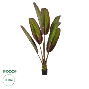 glo-20118-20118_0 GLOBOSTAR® ARTIFICIAL GARDEN BLOODY BANANA TREE 20118 - ΤΕΧΝΗΤΟ ΔΙΑΚΟΣΜΗΤΙΚΟ ΦΥΤΟ ΑΙΜΑΤΟΦΥ