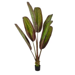 glo-20118-20118_2 GLOBOSTAR® ARTIFICIAL GARDEN BLOODY BANANA TREE 20118 - ΤΕΧΝΗΤΟ ΔΙΑΚΟΣΜΗΤΙΚΟ ΦΥΤΟ ΑΙΜΑΤΟΦΥ