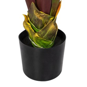 glo-20118-20118_4 GLOBOSTAR® ARTIFICIAL GARDEN BLOODY BANANA TREE 20118 - ΤΕΧΝΗΤΟ ΔΙΑΚΟΣΜΗΤΙΚΟ ΦΥΤΟ ΑΙΜΑΤΟΦΥ