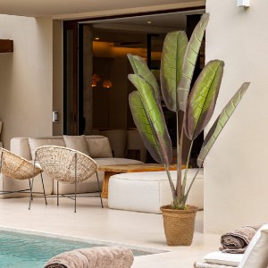 glo-20118-20118_insta GLOBOSTAR® ARTIFICIAL GARDEN BLOODY BANANA TREE 20118 - ΤΕΧΝΗΤΟ ΔΙΑΚΟΣΜΗΤΙΚΟ ΦΥΤΟ ΑΙΜΑΤΟΦΥ