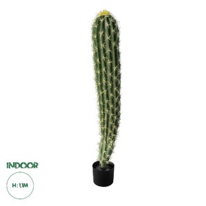 glo-20120-20120_00 GLOBOSTAR® ARTIFICIAL GARDEN CEREUS JAMACARU CACTUS 20120 ΤΕΧΝΗΤΟ ΔΙΑΚΟΣΜΗΤΙΚΟ ΦΥΤΟ ΚΑΚΤΟΣ