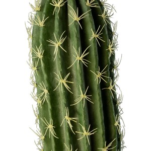 glo-20120-20120_4 GLOBOSTAR® ARTIFICIAL GARDEN CEREUS JAMACARU CACTUS 20120 ΤΕΧΝΗΤΟ ΔΙΑΚΟΣΜΗΤΙΚΟ ΦΥΤΟ ΚΑΚΤΟΣ