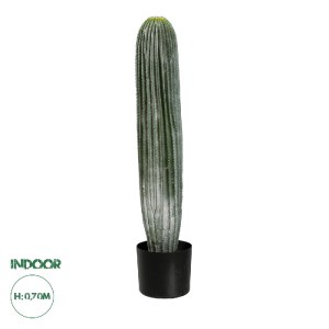 glo-20124-20124_0 GLOBOSTAR® ARTIFICIAL GARDEN CARNEGIEA CACTUS 20124 ΤΕΧΝΗΤΟ ΔΙΑΚΟΣΜΗΤΙΚΟ ΦΥΤΟ ΚΑΚΤΟΣ ΣΑΓΚΟ