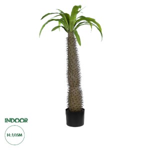 glo-20129-20129_0 GLOBOSTAR® ARTIFICIAL GARDEN PACHYPODIUM LAMEREI PALM TREE 20129 ΤΕΧΝΗΤΟ ΔΙΑΚΟΣΜΗΤΙΚΟ ΦΥΤΟ