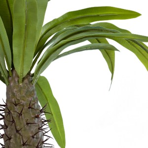 glo-20129-20129_3 GLOBOSTAR® ARTIFICIAL GARDEN PACHYPODIUM LAMEREI PALM TREE 20129 ΤΕΧΝΗΤΟ ΔΙΑΚΟΣΜΗΤΙΚΟ ΦΥΤΟ